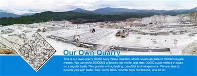 Xitoy kulrang granit